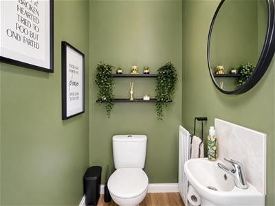 Picture 7